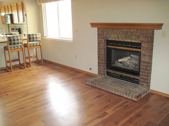 Gas fireplace