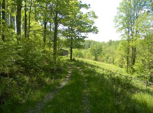 1480 Irish St, Summersville, WV 26651