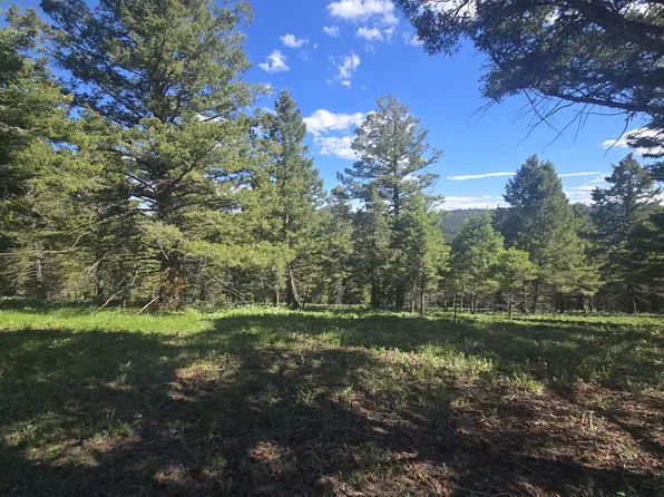 28 Muskrat Rd, Helmville, MT 59843