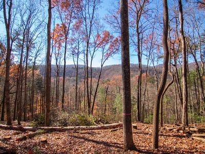 281 Clays Way, Blue Ridge, GA, 30513