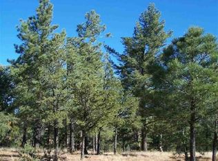 2864 Constellation Rd, Overgaard, AZ 85933