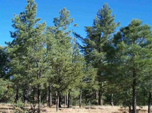 2864 Constellation Rd, Overgaard, AZ 85933