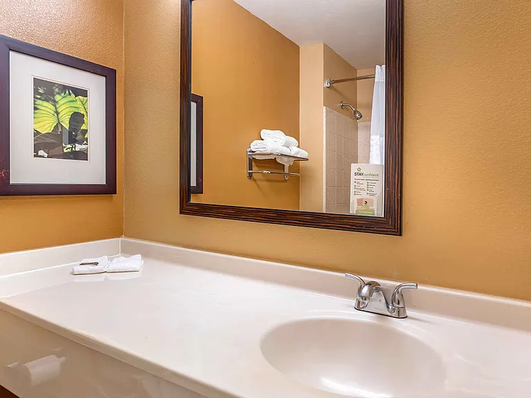 Studio Suite - 1 Queen Bed