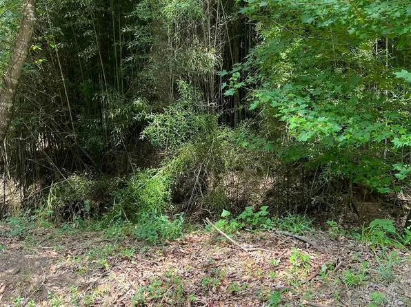 County Road 4130, Mount Vernon, TX 75457