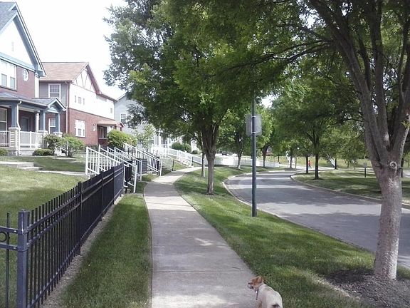 Neighborhood Walk