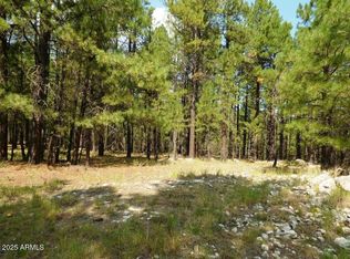5131 Forest Service Rd #137A-PRCL40375003B, Happy Jack, AZ 86024