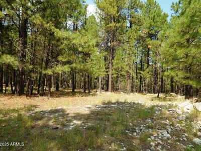 5131 Forest Service Road 137A Road #Prcl40375003B A & B, Happy Jack, AZ, 86024