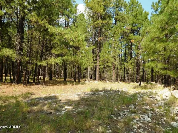5131 Forest Service Road 137A Road #Prcl40375003B A & B, Happy Jack, AZ 86024