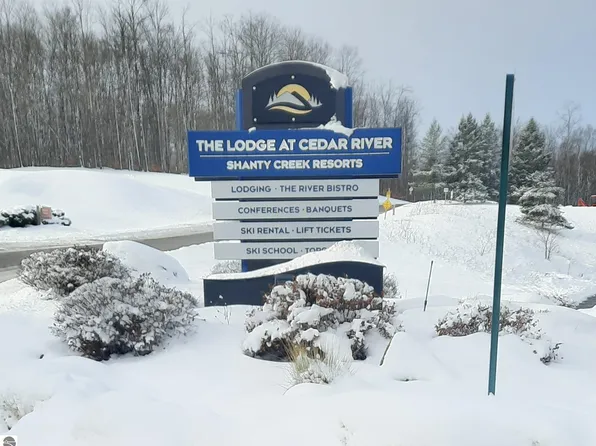 2400 Troon S #4317, Bellaire, MI 49615