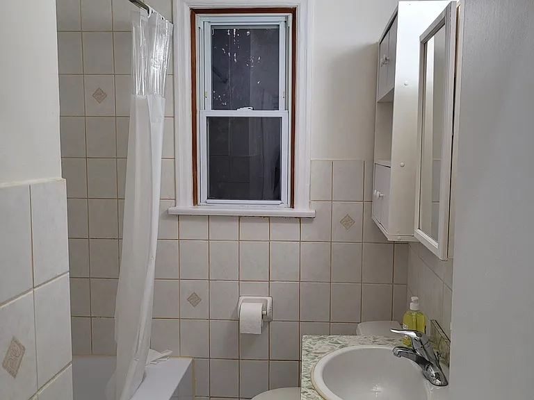 224 College Ave #MAIN FLLOOR — Photo 9