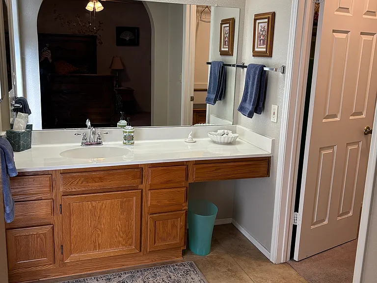 Master bathroom vanity