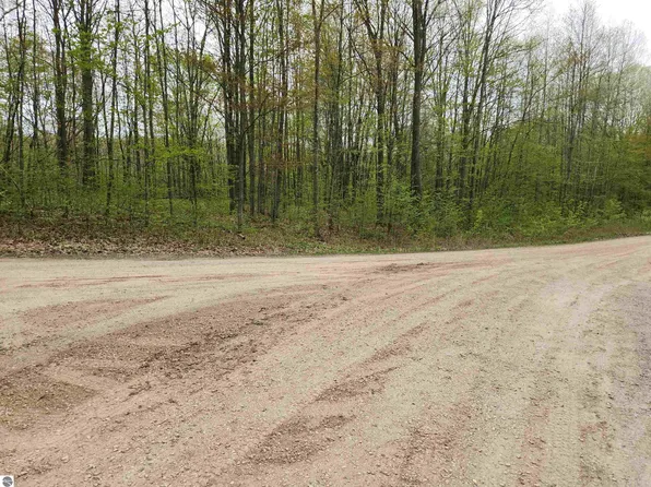 LOT 20 Acorn Rdg, Beulah, MI 49617