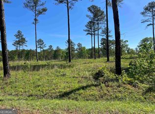 685 Giles Rd, Forsyth, GA 31029