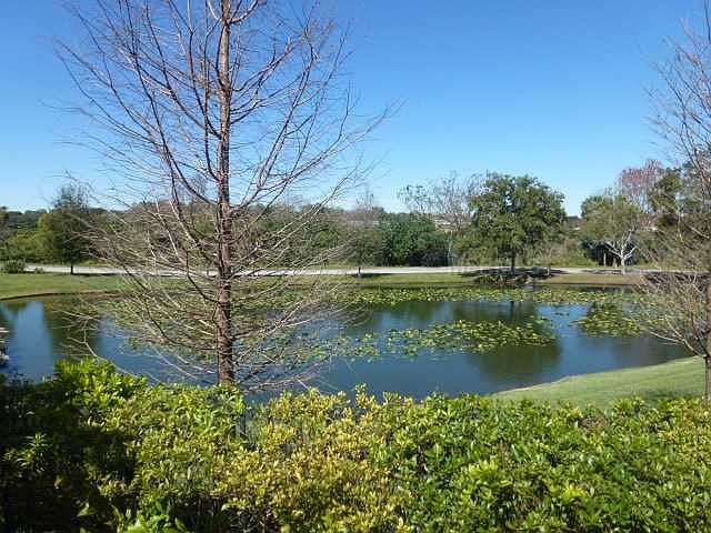 2nd image of 226 Maplebrook Dr