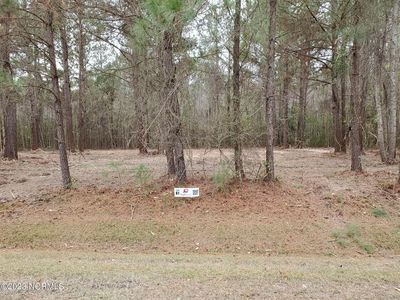 Lot 61 Eagle Trace Drive, Blounts Creek, NC, 27814
