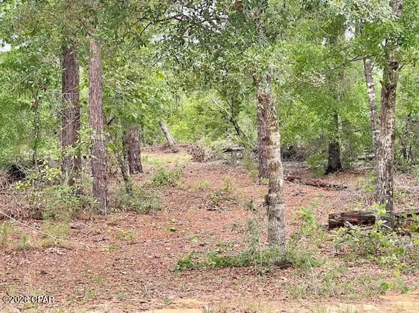 0 Dixie Dr, Marianna, FL 32448