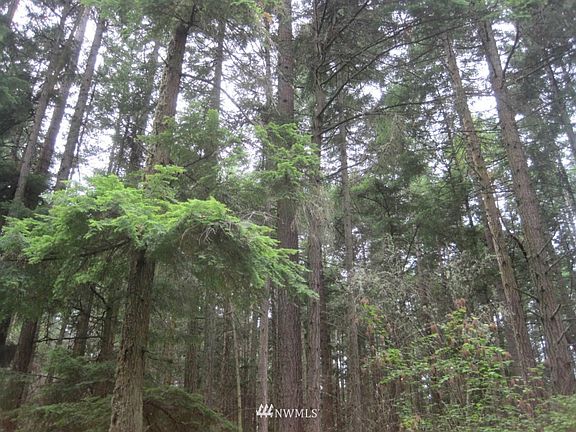 3rd image of 0 Lot 13 Parker Woods