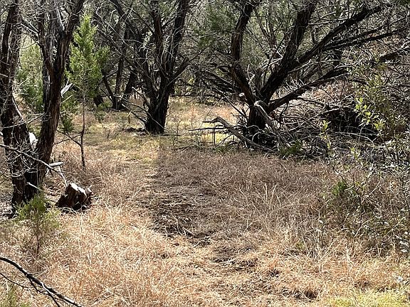 4th image of 774 Brushy Creek Rd