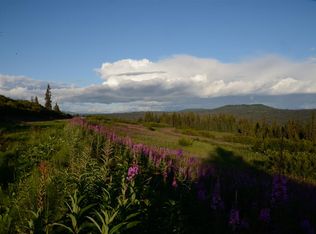 Ilene Drive, Anchor Point, AK 99556