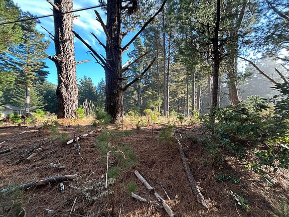 3rd image of 9020 Shelter Cove Rd