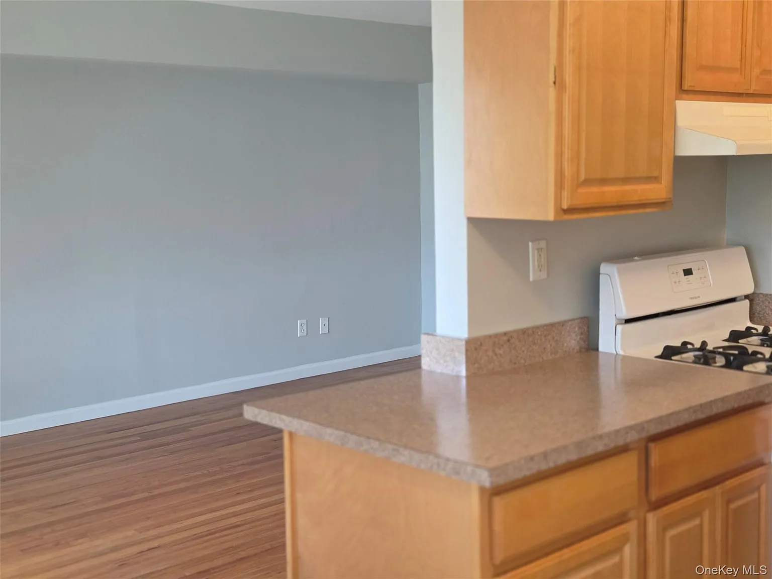 16 Pavilion Ridge Way, Suffern, NY 10901 — Photo 3