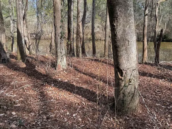 LOT 77 Harbor Rd, Andalusia, AL 36421