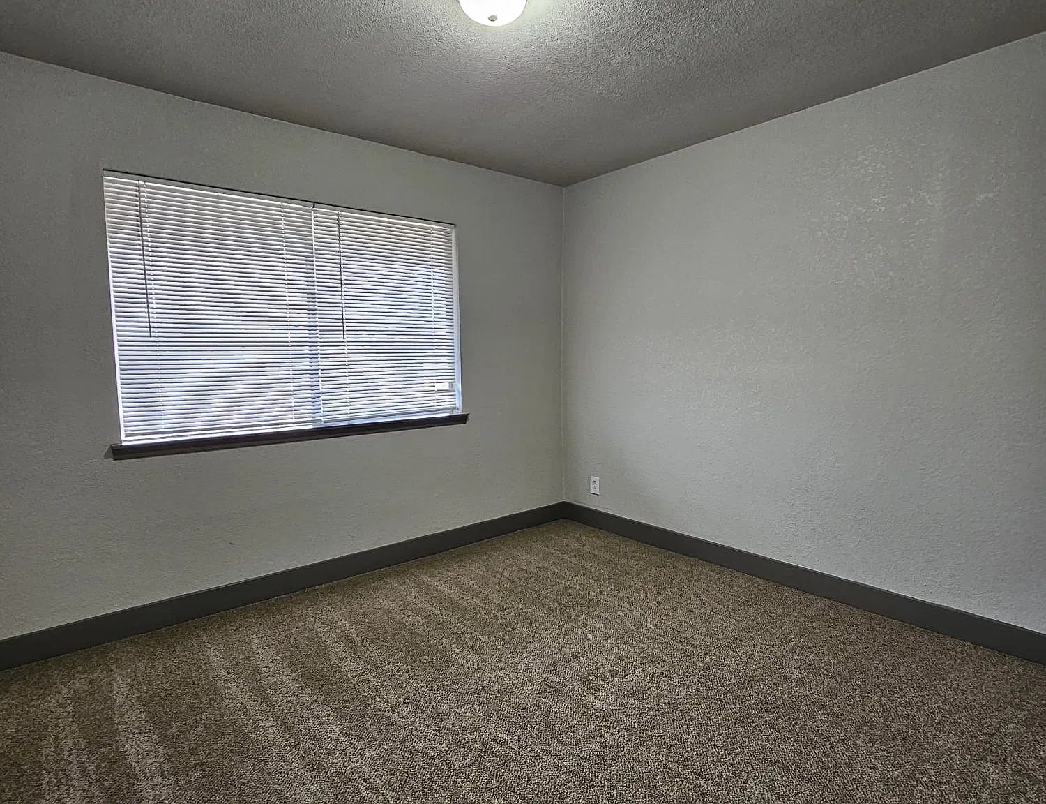 204 W Mockingbird Ln — Photo 4