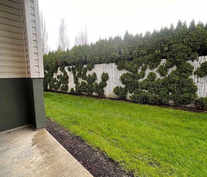 Fountain Valley Apartments — Photo 41