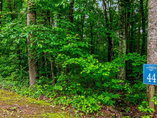 44 N Harris Creek Dr, Ellijay, GA 30540