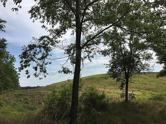 Amazing view from backyard