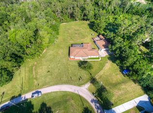 3226 Wheeler Ct, Dover, FL 33527