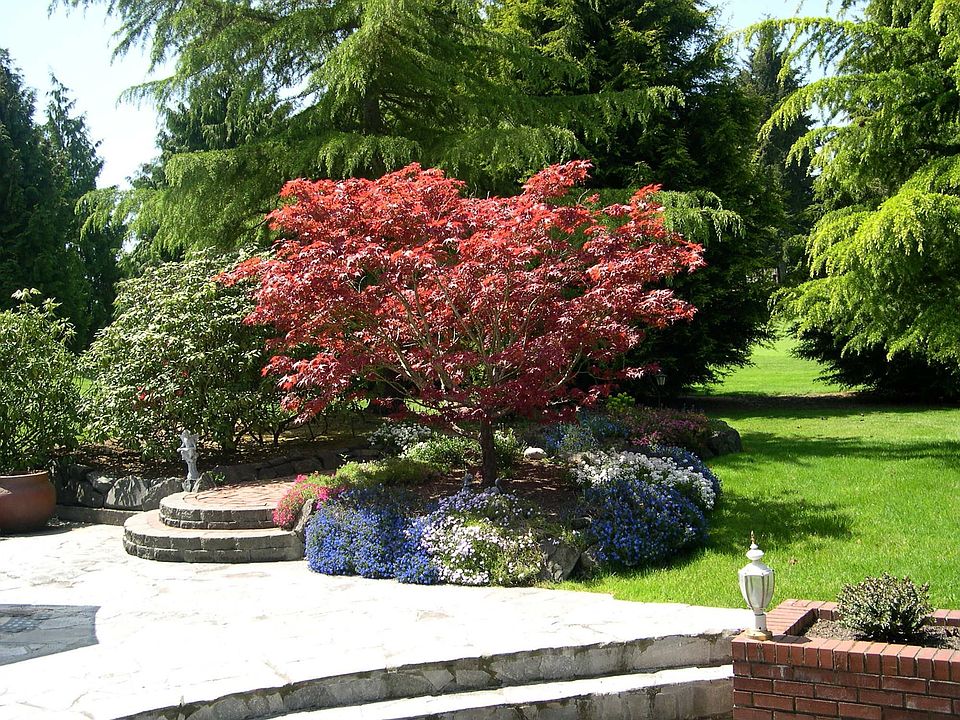 Terrace/Brick walkway