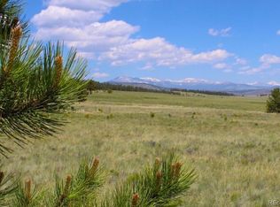 311 Harness Way LOT 230, Hartsel, CO 80449