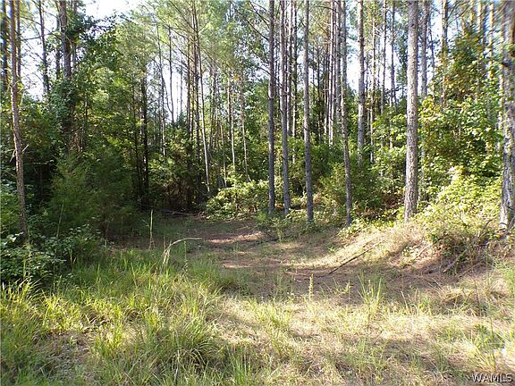 3rd image of 0 Luxapallila Rd