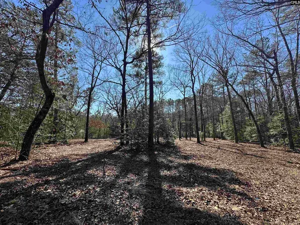 622 Juniper Springs Rd, Gilbert, SC 29054