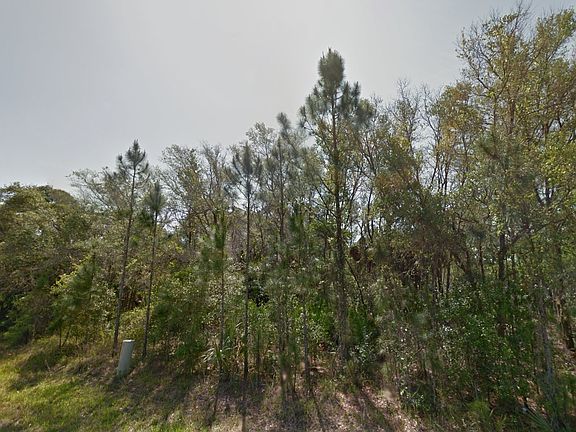 5th image of 1347 Chaffin Ln