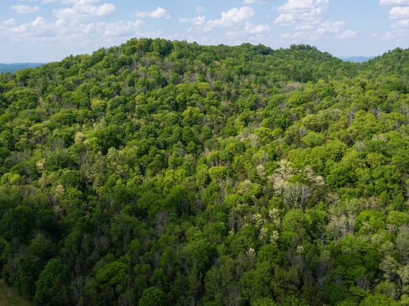 2517 Patton Hollow Rd, Watertown, TN 37184
