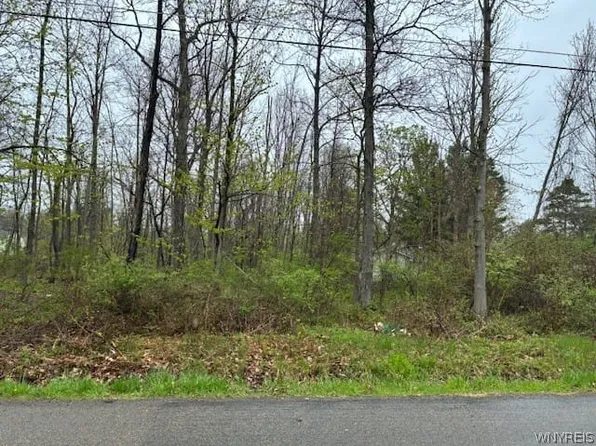 Argyle Ave, Angola, NY 14006