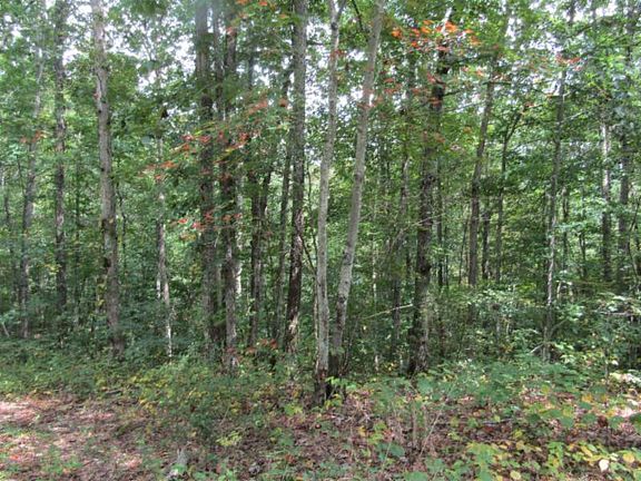 5th image of LOT 1 Backwoods Trl