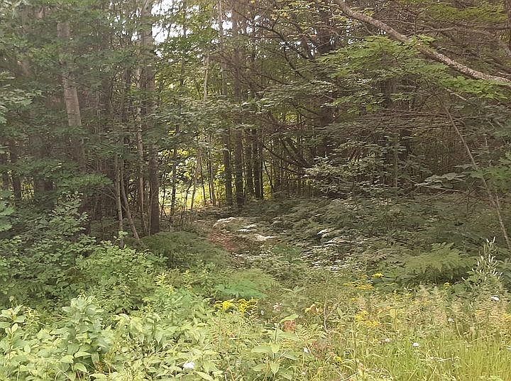 2nd image of 790 Trail Blazers Rd