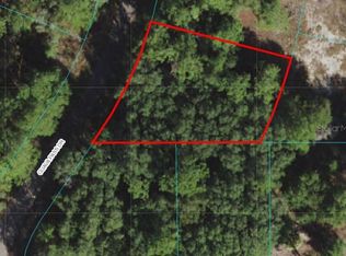 0 Guava Pass Dr #6, Ocklawaha, FL 32179