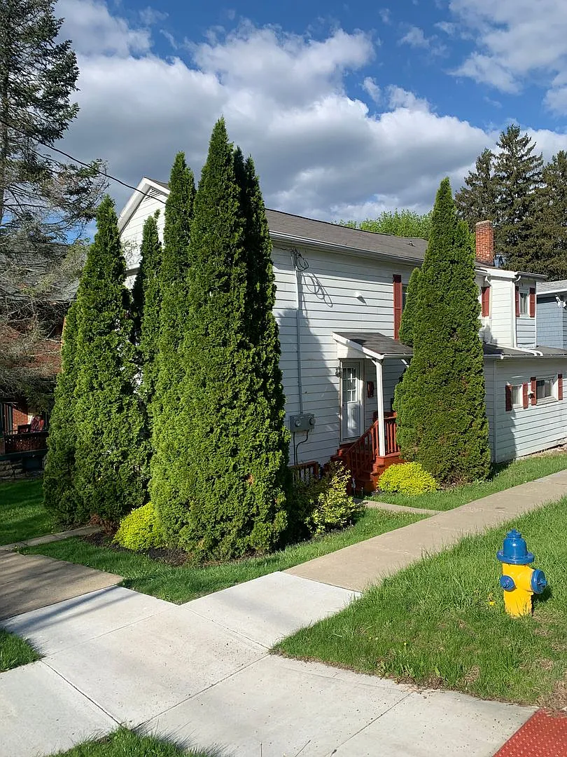 Building Photo - 174 Cedar St