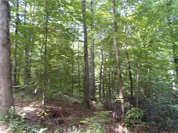 4th image of 4599 Highway 48 N