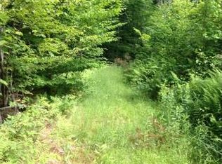 207 Moore Dr, Perkinsville, VT 05151