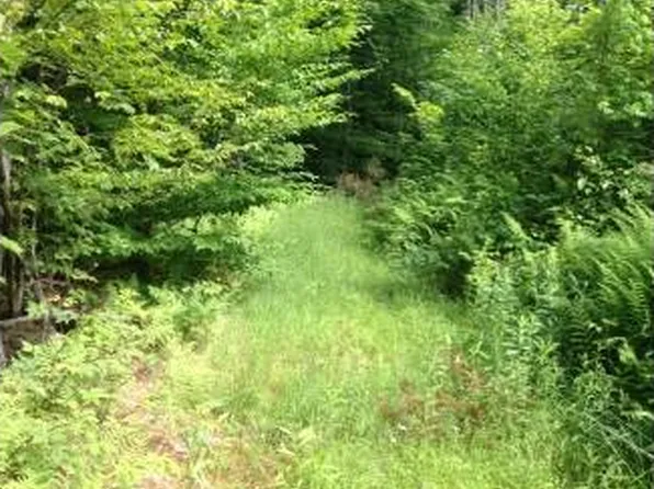 207 Moore Drive, Weathersfield, VT 05030