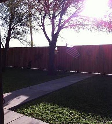 Back yard
