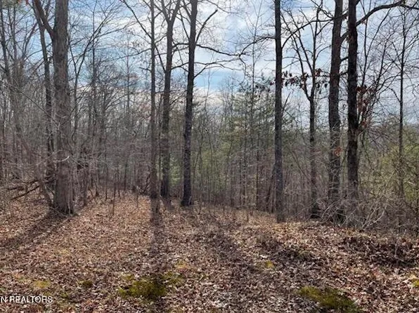 Junior Cox Rd, Deer Lodge, TN 37726