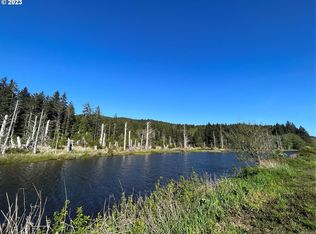 4 State Rte, Naselle, WA 98638