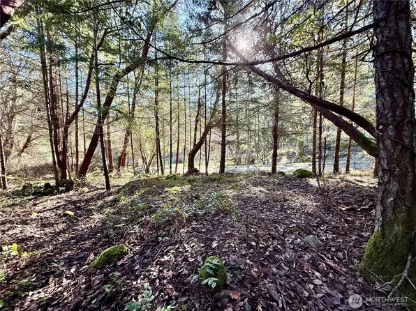 10 Kittiwake Lane, Friday Harbor, WA 98250