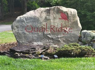 0 Quail Mountain Ln #23, Waynesville, NC 28786